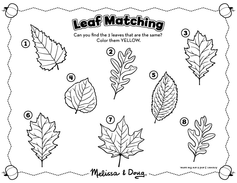 10 Fall Leaves Worksheets Free PDF At Worksheeto