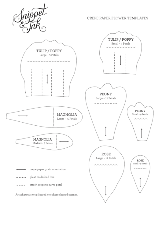 Crepe Paper Flower Template Printable Pdf Download