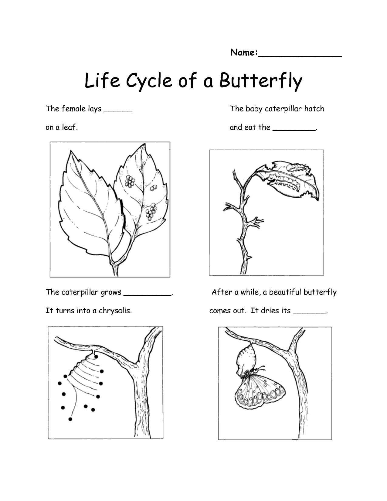 Free Printable Science Worksheets Pdf Printable Worksheets