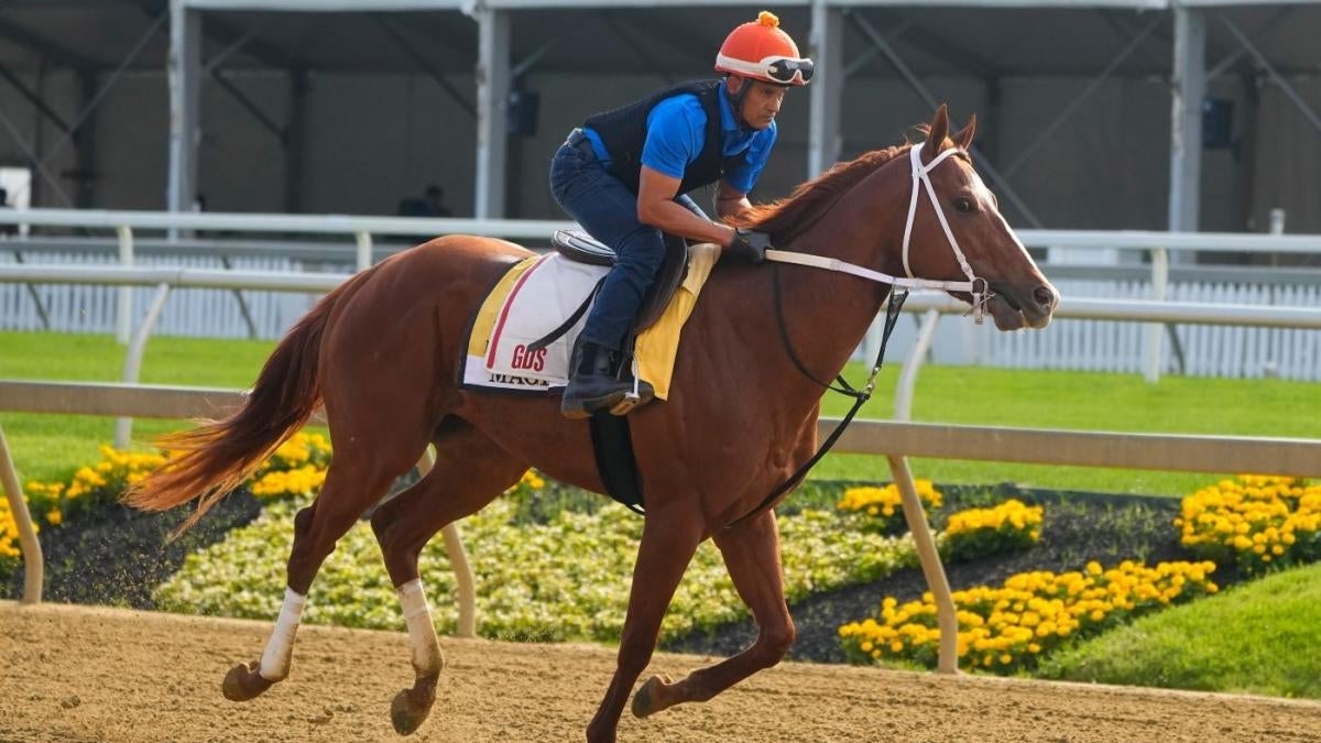 Preakness 2024 Horses List Jemmie Clarita