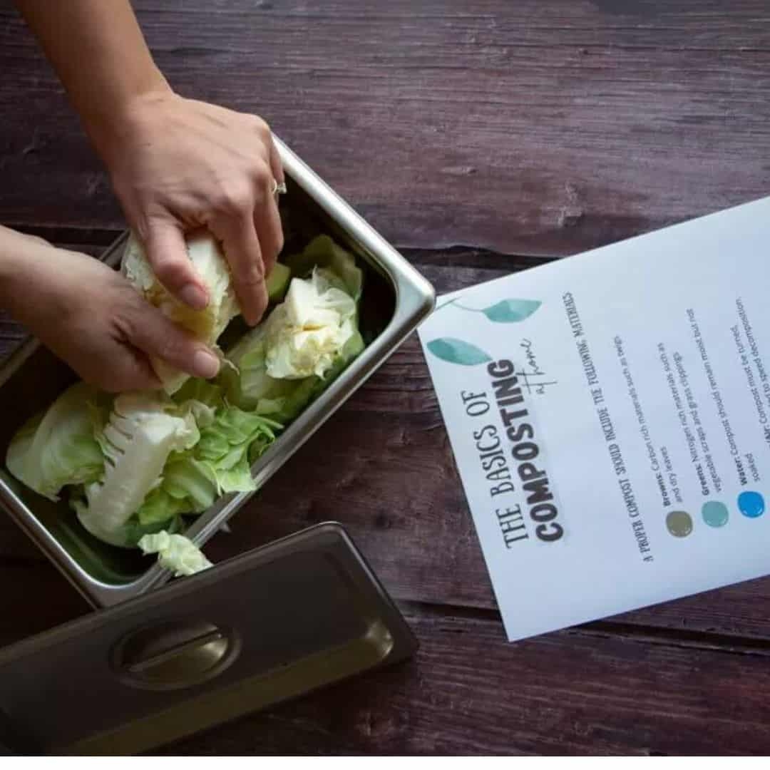 Printable Compost List For Beginners At Home The Homestead Challenge