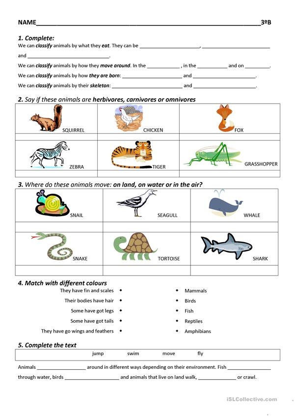 Science Worksheets Printable Common Core Worksheets
